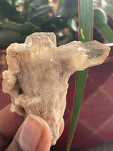 24 piece Kundalini Citrine wholesale flat | Luena, DR Congo