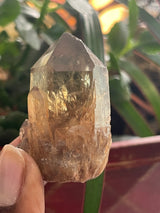 24 piece Kundalini Citrine wholesale flat | Luena, DR Congo