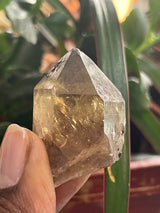 24 piece Kundalini Citrine wholesale flat | Luena, DR Congo