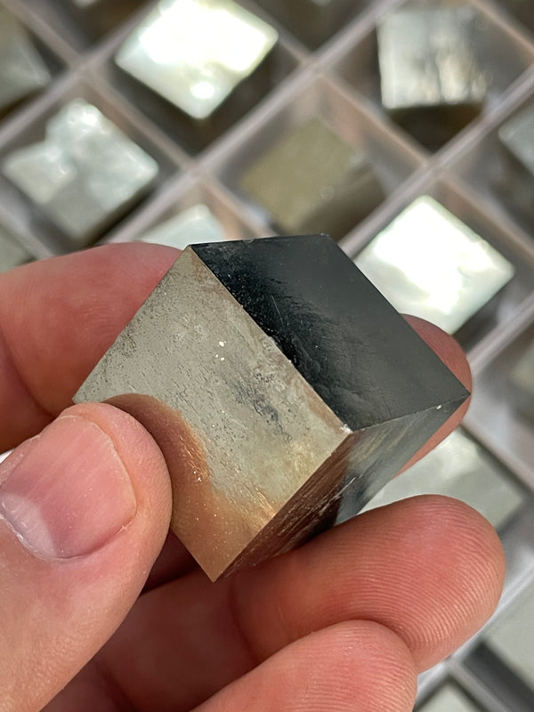 Pyrite Cube,  +|- 0.75 inches, from Victoria Mine, La Rioja, Navajún, Spain