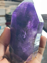 @crazy4euphorbia 1/2