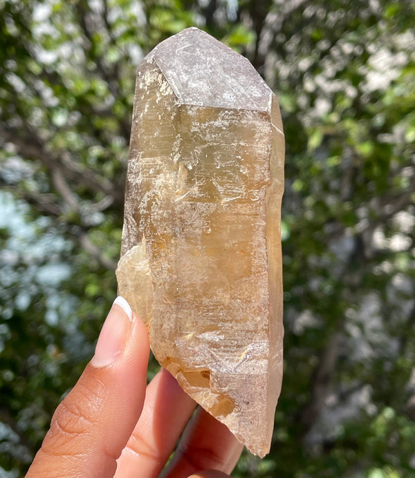 Natural-Citrine-Quartz-From-Mansa-Zambia-Citrine-Point-10-9-cm