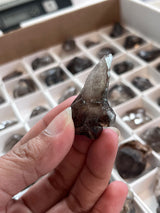 Smoky Quartz Wholesale Flats, 96  pieces, Mulanje, Southern Region, Malawi