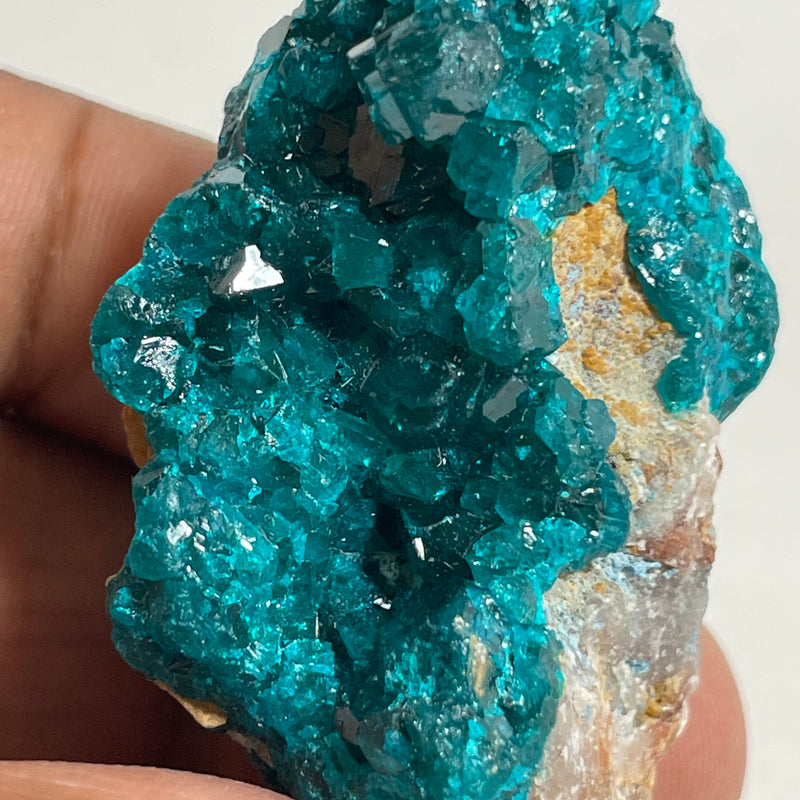 Gorgeous Dioptase Crystal, Shinkolobwe, Kambove District, Haut-Katanga, Democratic Republic of Congo, Heart Chakra