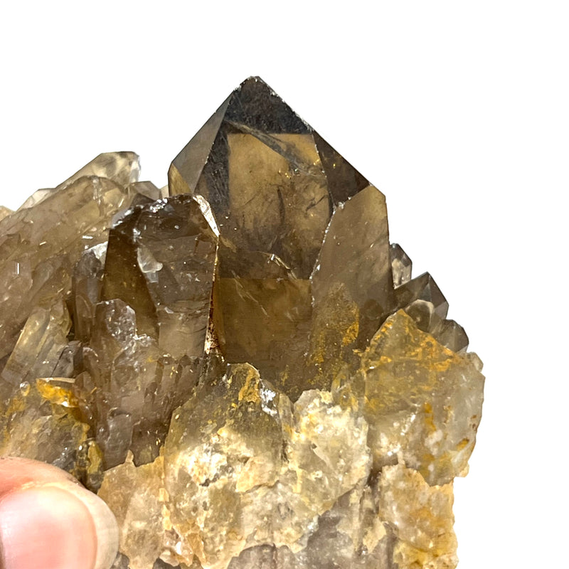 Kundalini Quartz Citrine, Democratic Republic of Congo, Lwena, Congo Citrine