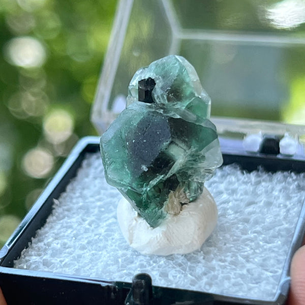 Green Fluorite with Black Tourmaline, Erongo Mountain, Erongo Region, Namibia, Natural Specimens and Crystals
