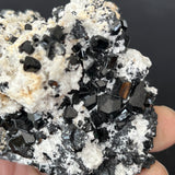 Black Tourmaline with Feldspar, from Erongo Mountain, Erongo Region, Namibia