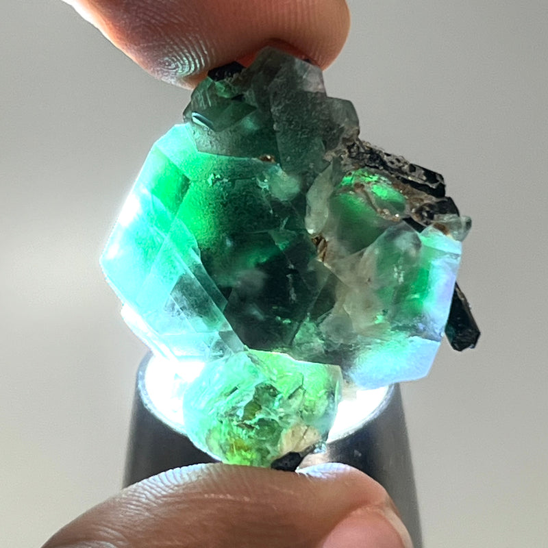 Green Fluorite with Black Tourmaline, Erongo Mountain, Erongo Region, Namibia, Natural Specimens and Crystals