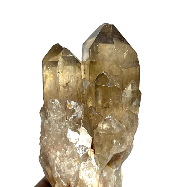 Kundalini Quartz Citrine, Democratic Republic of Congo, Lwena, Congo Citrine