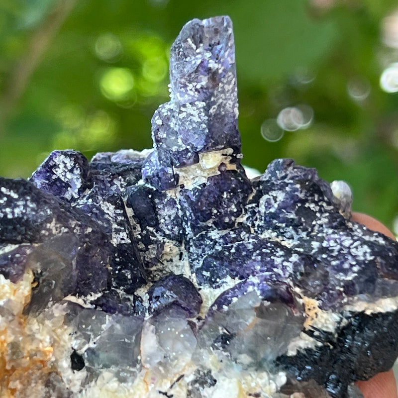 Fluorite with Black Tourmaline and Feldspar, from the Erongo Mountain, Erongo Region, Namibia.