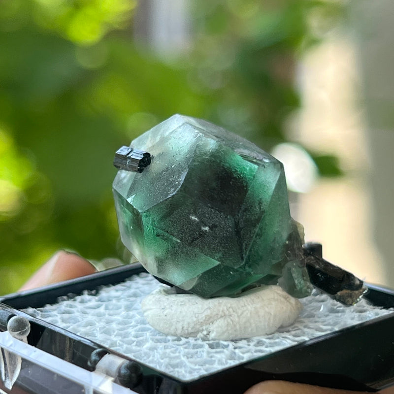 Green Fluorite with Black Tourmaline, Erongo Mountain, Erongo