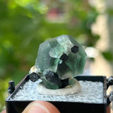 Green Fluorite with Black Tourmaline, Erongo Mountain, Erongo Region, Namibia, Natural Specimens and Crystals