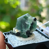 Green Fluorite with Black Tourmaline, Erongo Mountain, Erongo Region, Namibia, Natural Specimens and Crystals