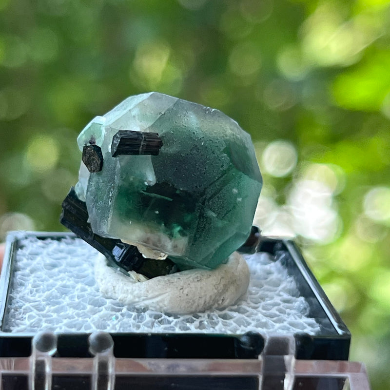 Green Fluorite with Black Tourmaline, Erongo Mountain, Erongo Region, Namibia, Natural Specimens and Crystals