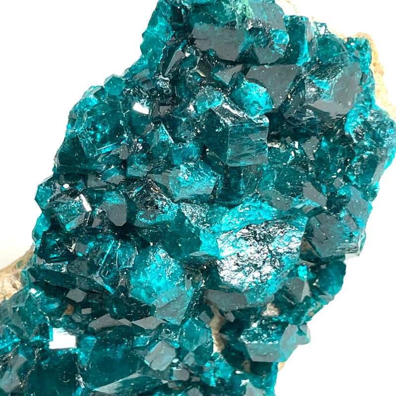 Gorgeous Dioptase Crystal, Shinkolobwe, Kambove District, Haut-Katanga, Democratic Republic of Congo, Heart Chakra