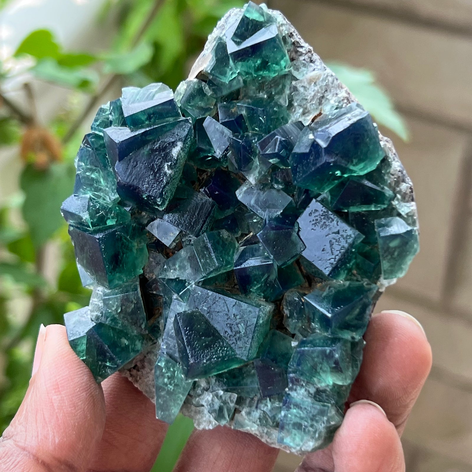 UK Fluorite from the Greedy Hog Pocket, Diana Maria Mine