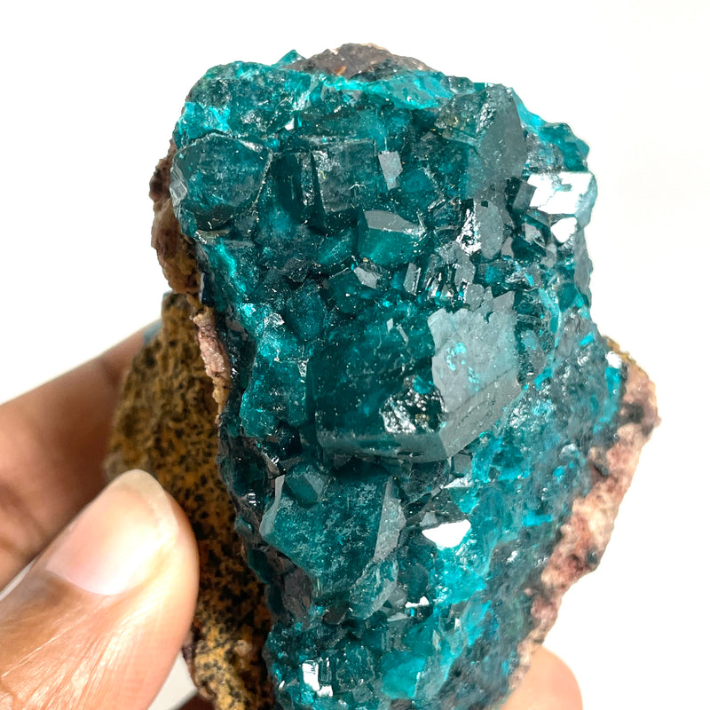 Gorgeous Self-Standing Dioptase Crystal, Shinkolobwe, Kambove District, Haut-Katanga, Democratic Republic of Congo, Heart Chakra