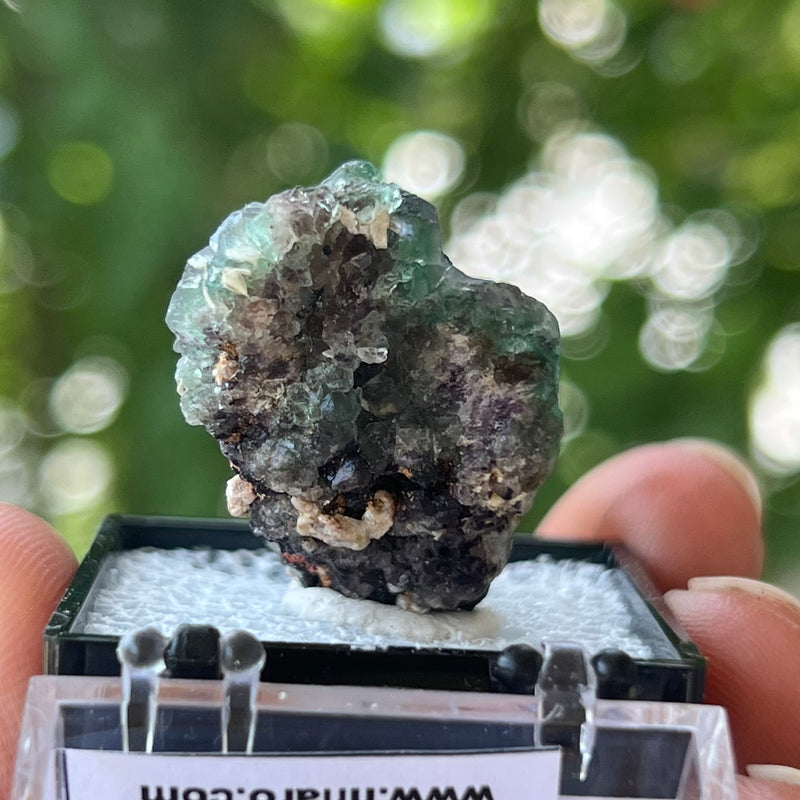 Green Fluorite, Erongo Mountain, Erongo Region, Namibia, Natural Specimens and Crystals