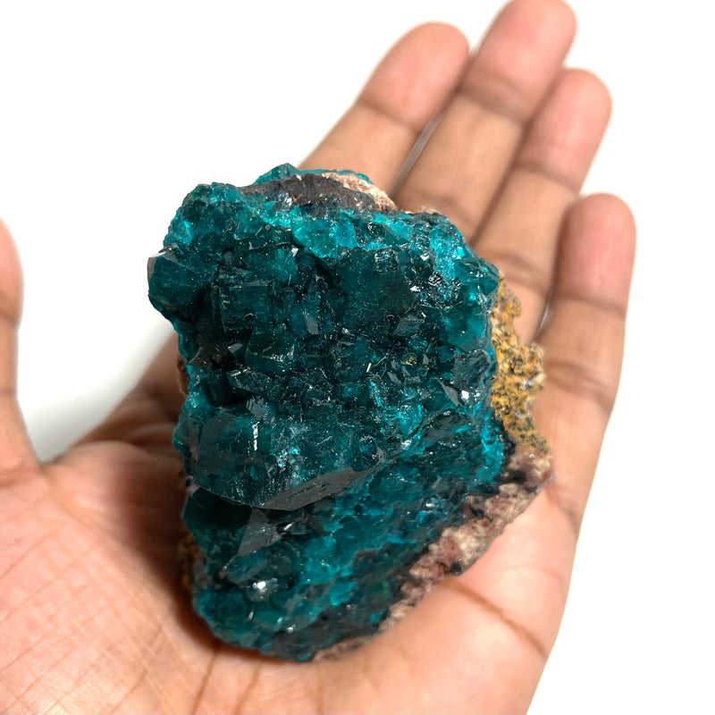 Gorgeous Self-Standing Dioptase Crystal, Shinkolobwe, Kambove District, Haut-Katanga, Democratic Republic of Congo, Heart Chakra