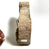 1.8 kg Petrified Wood, Green Chromium, Rhexoxylon, Gokwe, Zimbabwe