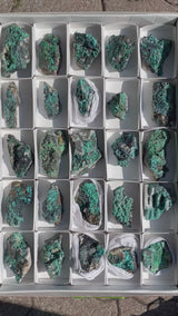 Malachite and Chrysocolla Flat 25 pieces from Usakos, Erongo Region, Namibia