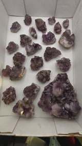 2.902 kg Wholesale Flat of Amethyst from Lutzburg, Kakamas, Northern Cape, South Africa