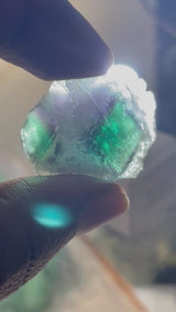 Alien Invasion Fluorite, Okorusu, Otjozondjupa, Namibia "Alien Eye" like Green Fluorites - 2026 - 16.58g