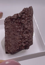 Fossil Wood - Quartz on Petrified Wood 35 Million years old, Saxony, Germany