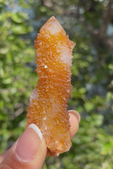 1 piece of Witch’s Finger Quartz from Boukenhoethoek, South Africa