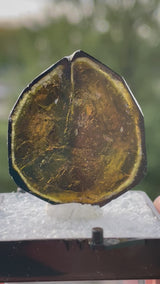 Liddicoatite Tourmaline Slice from Madagascar