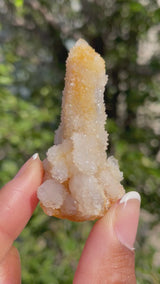 1 piece of Witch’s Finger Quartz from Boukenhoethoek, South Africa