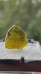 Liddicoatite Tourmaline Slice from Madagascar