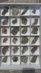 Harledote Brandberg Quartz flat 24 pieces from Goboboseb Mountains, Erongo Region, Namibia