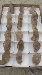 2.320kg Kundalini Citrine Quartz Wholesale Flat 18 pieces, Congo Citrine, Natural Citrine from Luena, Democratic Republic of Congo