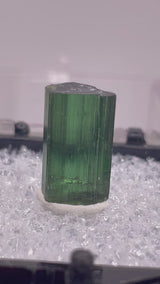 Tourmaline from Neuschwaben, Karibib, Erongo Region, Namibia
