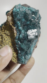 Gorgeous Self-Standing Dioptase Crystal, Shinkolobwe, Kambove District, Haut-Katanga, Democratic Republic of Congo, Heart Chakra