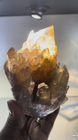 Kundalini Citrine Cluster | Luena, Katanga, Democratic Republic of Congo