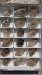 Kundalini Citrine Wholesale Flat 18 pieces from Democratic Republic of Congo