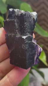 Fluorite From Lead Hill, Cave in Rock Sub-District, Hardin Co., Illinois