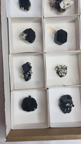 24-piece Black Tourmaline Flat | Erongo Mountain, Erongo Region, Namibia