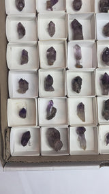 54 Piece Shangaan Amethyst Sceptre Wholesale Flat | Chibuku mine, Zimbabwe