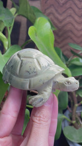 Shona Sculpture, Butter Jade Turtle from Zimbabwe