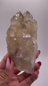 Kundalini Citrine - 8 Pieces Wholesale flat from Lwena, DR of Congo (3.416kg)