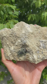 Authentic Genuine Moldavite, Moldavite on matrix from South Bohemia - 476 grams