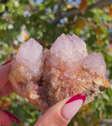 Spirits Quartz - Wholesale flat from Boekenhouthoek, South Africa - 24 pieces (2.388 kg)