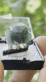 Green Fluorite with Black Tourmaline, Erongo Mountain, Erongo Region, Namibia, Natural Specimens and Crystals