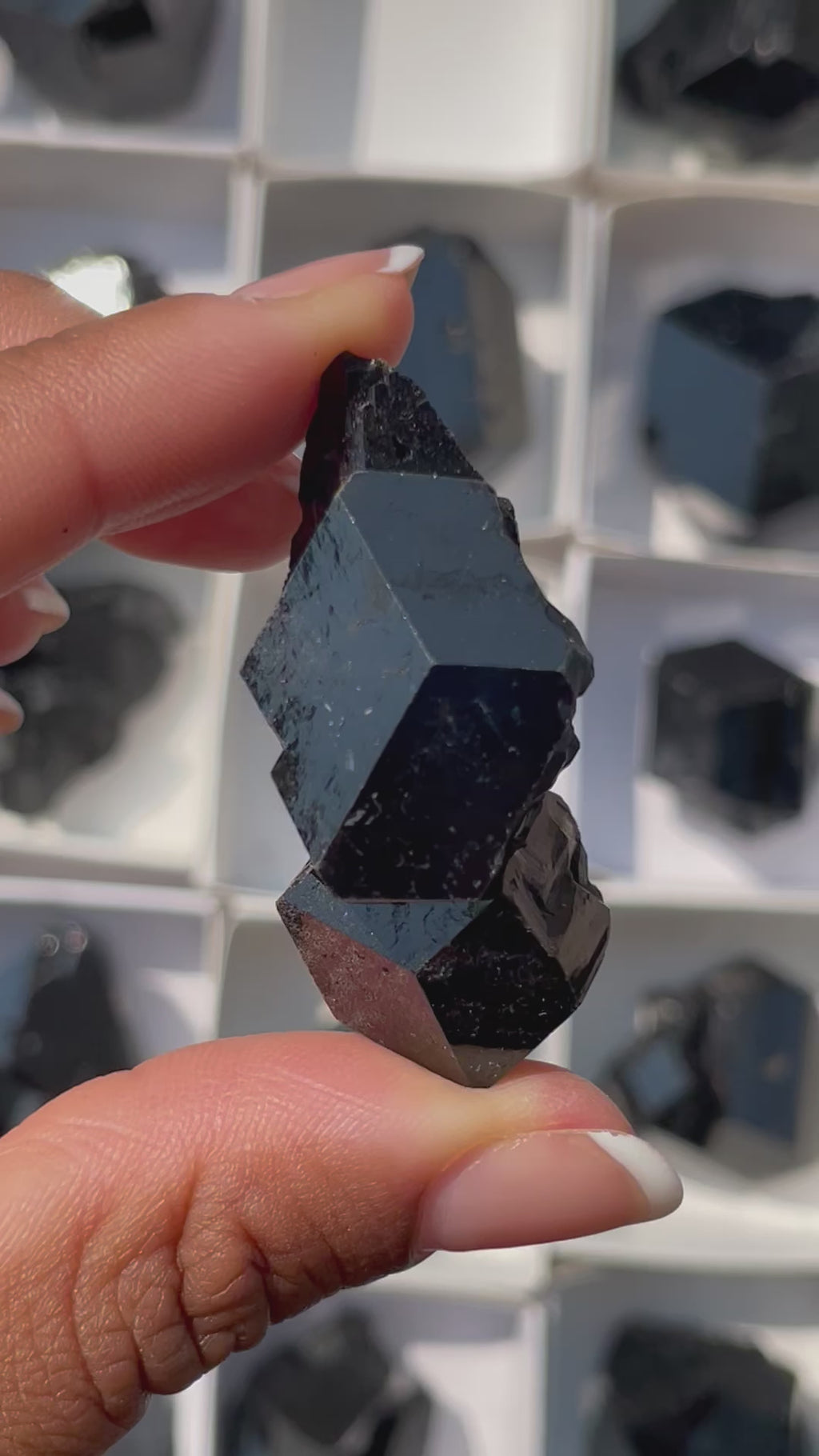 Black-Tourmaline-Wholesale-Flat-35-pieces-Erongo-Mountain-Namibia-2.722kg video
