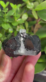 Black Tourmaline Specimen with Aquamarine and Hyalite Opal from Erongo Mountain, Erongo Region, Namibia