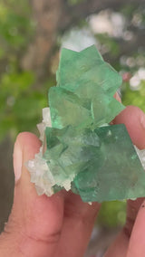 Orange River Fluorite from Riemvasmaak South Africa