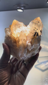 Kundalini Citrine Cluster | Luena, Katanga, Democratic Republic of Congo
